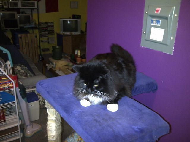 North Vancouver 2-20120210-00035