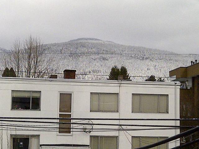 North Vancouver 2-20120229-00048