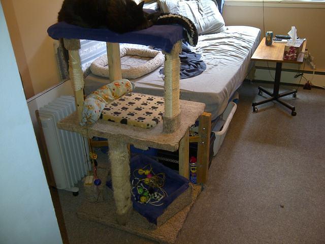 North Vancouver 2-20120503-00082