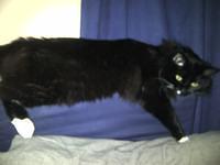 North Vancouver 2-20120212-00037